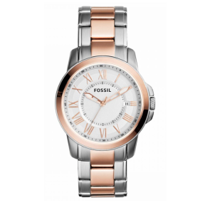 Horlogeband Fossil FS4967 Roestvrij staal (RVS) Multicolor 20mm